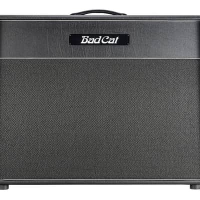 Bad Cat Hot Cat 2x12 Extension Cabinet Silver Speckled Grille/Piping - Open Box image 1