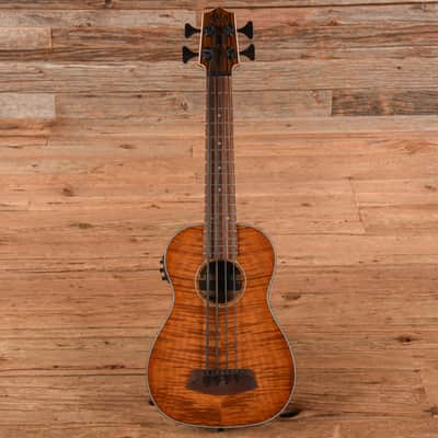 Kala U-Bass EM-FS image 4