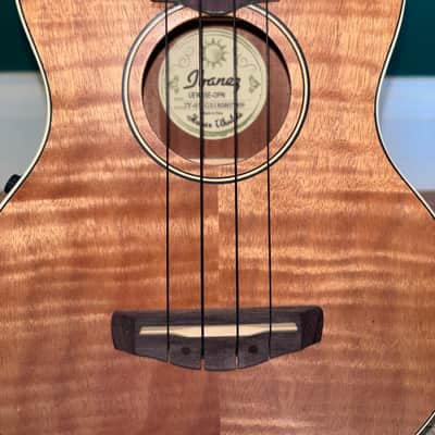 Ibanez UEW15E-OPN image 2