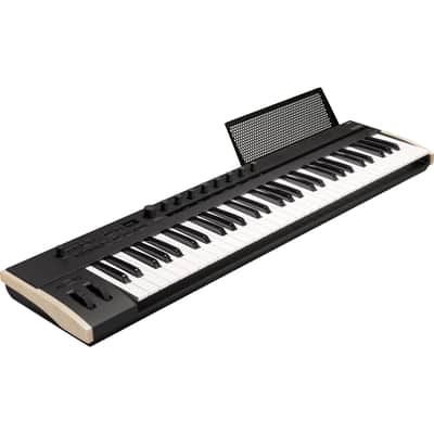 Korg Keystage 61 Poly AT MIDI Keyboard Controller PEDAL KIT image 9