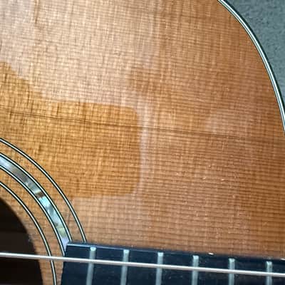 Taylor 710 KCE 1997 image 9