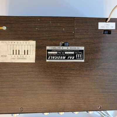 Radel DX-Soft Analog Saarang/Tampura with Original Case and Manual image 6