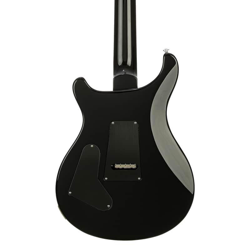 PRS Custom 24 Floyd 10-Top image 4