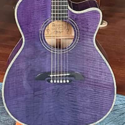Alvarez Yairi Wy-1 image 3