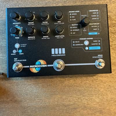 Hologram Electronics Microcosm | Reverb