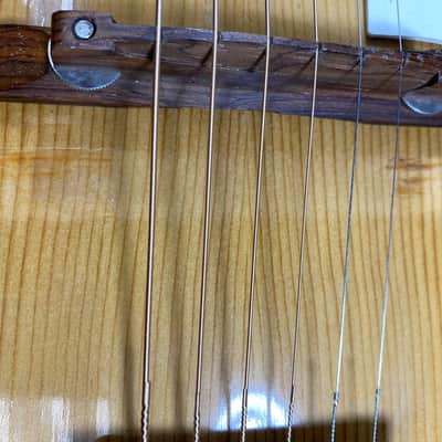 Airline P-3 Archtop 1950s-60s image 21