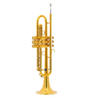 B&S Personality Benny Brown Trumpet - Gold Lacquer with Case image 2