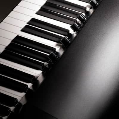 Korg SV-273 Vintage 73-Key Stage Piano image 14