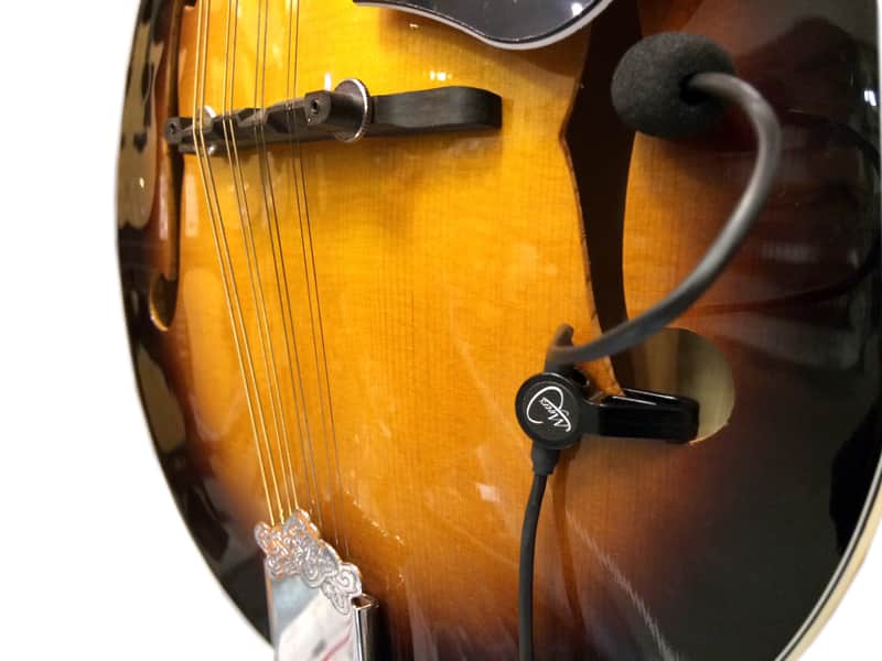 "THE FEATHER" MANDOCELLO PICKUP with FLEXIBLE MICRO-GOOSE NECK by Myers Pickups by Myers Pickups image 1