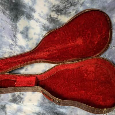Vintage RARE 1955 Gibson ES 335 ES 175 Soft Shell Electric Guitar Case Alligator Print image 7