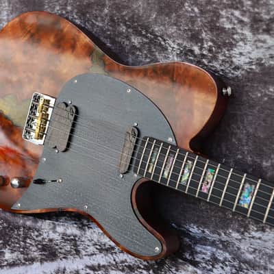 Immagine GB Liuteria Traditional Tele walnuts burl and resin - 8