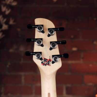 Dragonfly B6 KUSUNOKI - Amazing Bass VI, NAMM Demo Model! image 8
