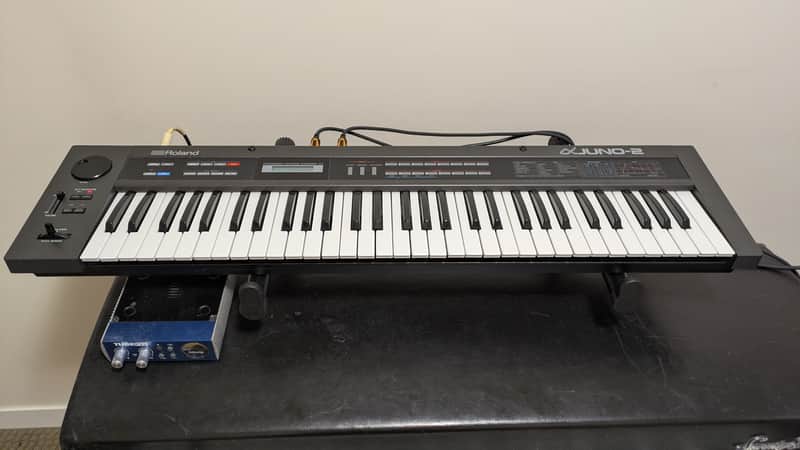 Roland Alpha Juno-2 61-Key Programmable Polyphonic | Reverb Canada