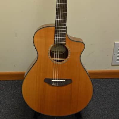Breedlove Pursuit Nylon Electric image 1