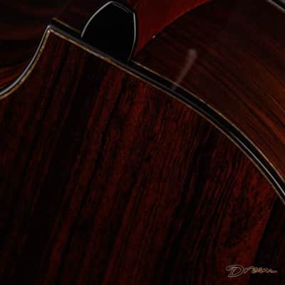 2019 Ryan Signature Series Nightingale, Brazilian Rosewood/Sinker Redwood image 20
