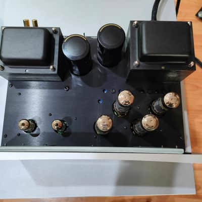 VTL MB-125 COPPIA FINALI MONO MONOBLOCK VALVOLARI TUBE POWER AMP VTL- MB125  Silver image 11