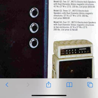 Plush PRB 1000S Amp and Cabinet early 1970's Black Padded image 21