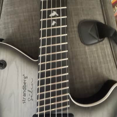 Strandberg Guitars Strandberg Limited-edition Salen APS Monochrom Electric Guitar - Monochrom 2024 image 5