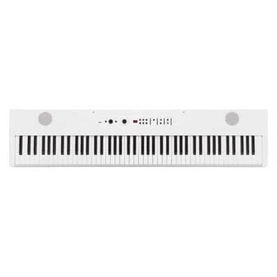 Korg Liano Live - Stage Piano image 1