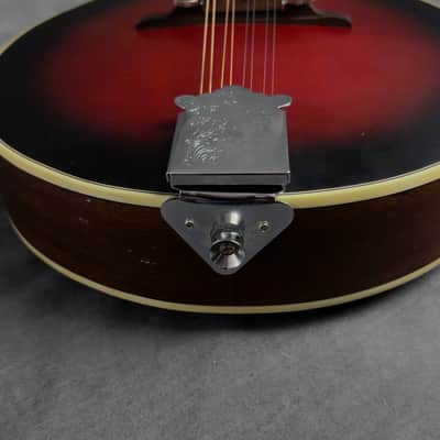 J. Reynolds JRMAN20 A-Style Mandolin image 21