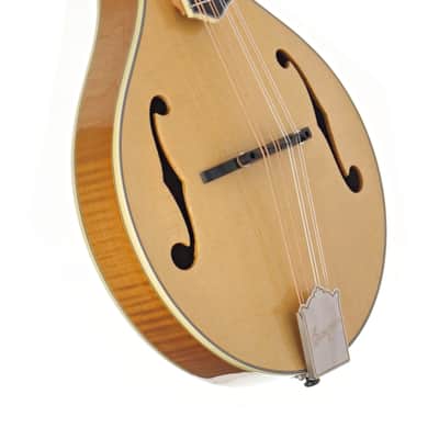 Bourgeois M5-A Mandolin #M0623106 image 8