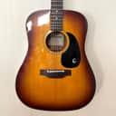 Epiphone FT-160 Texan-12 w/ HSC 1970's