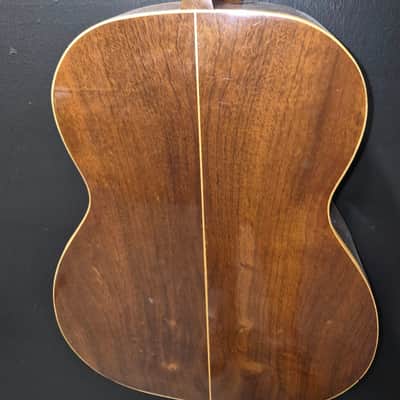 Giannini awn21 1978 - brown image 3