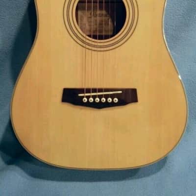 Ibanez Daytripper Travel Guitar (DT10NT) w/ bag and strap image 2