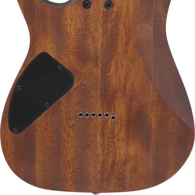 Ibanez RG421-MOL RG Electric Guitar 6-String - Mahogany Oil image 17