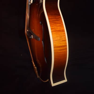 Pava F5 Pro Mandolin image 3