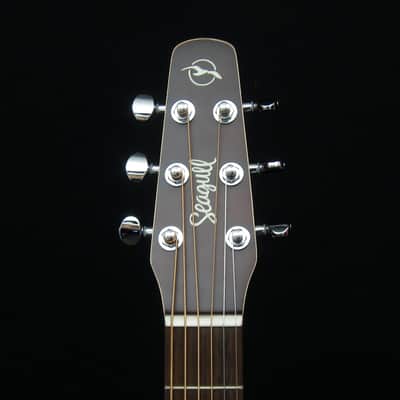 Seagull Entourage Autumn Burst Dreadnaught image 7