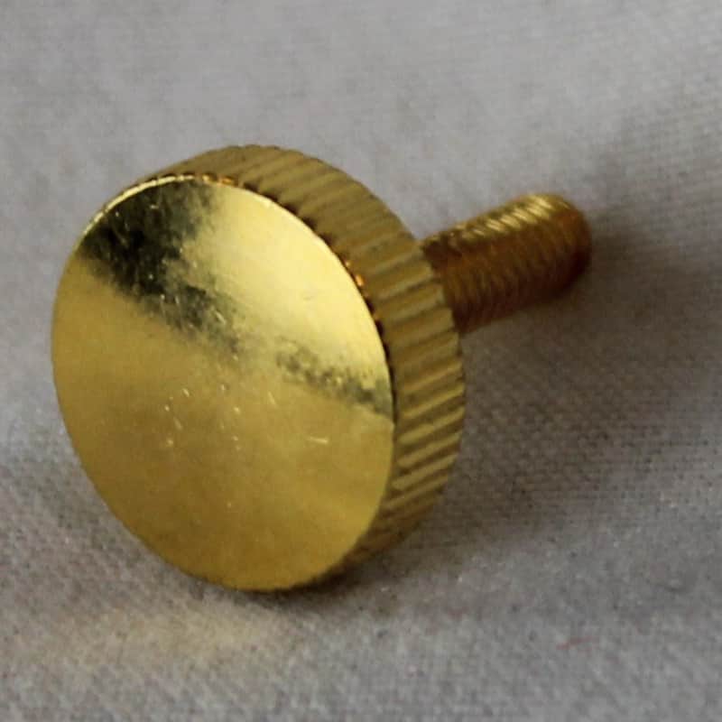 Accordion Repair Part - Golden Grill Screw Large (14mm x 19mm) image 1
