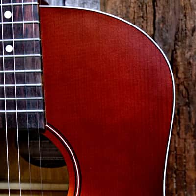 Seagull Entourage Dreadnought - Autumn Burst image 6