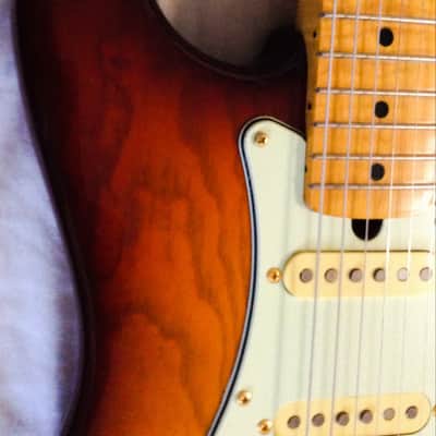 Deviser Y. Momose Masterbuilt Stratocaster image 6