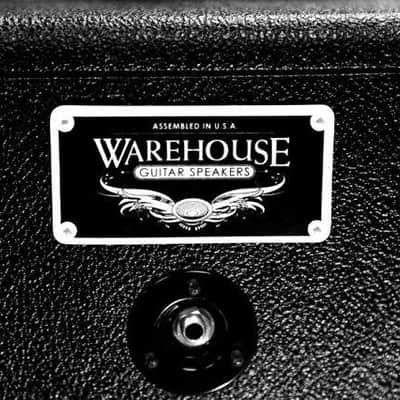 WGS Warehouse Invader 50 12" Speaker 50 Watt 8 ohm image 4