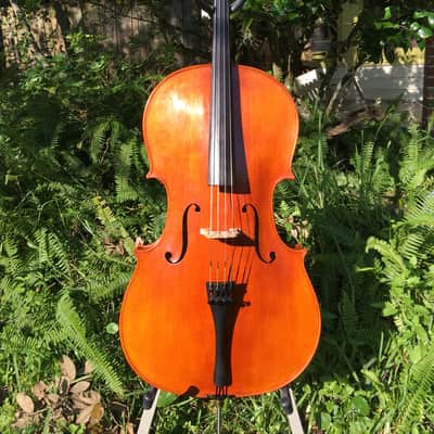 Tenor Violin (half-size cello tuned GDAE) image 1