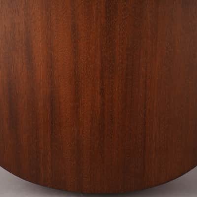Breedlove USA Moon Light Concert - 2018 - Sunburst image 11