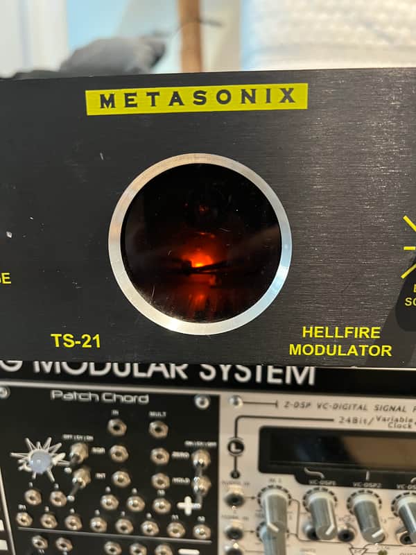 Metasonix TS-21 Hellfire Modulator. Original Metasonix rarity. image 1
