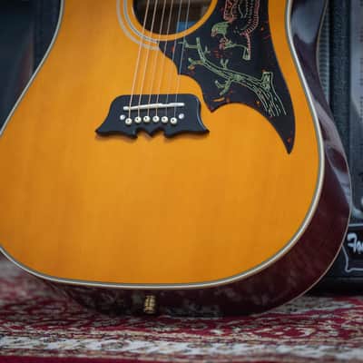 2024 Epiphone FT120 Masterbilt Excellente Acoustic - in Natural image 2