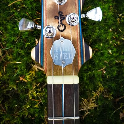 The Kingfisher - High Bird custom cigar box guitar image 15