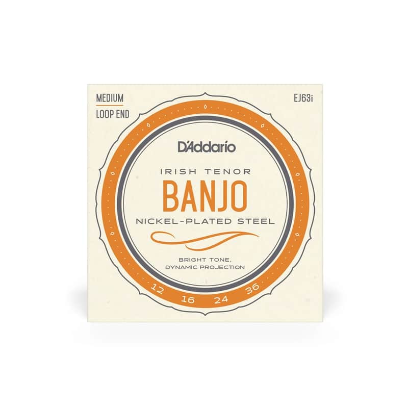EJ63i Irish Tenor Banjo, Nickel, 12-36 image 1