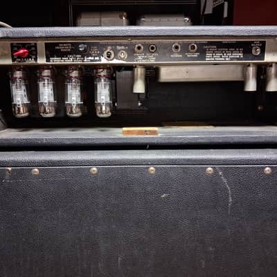 Fender Bassman 135 con pantalla Fender Dual Showman Rev D130 Años 70 image 23