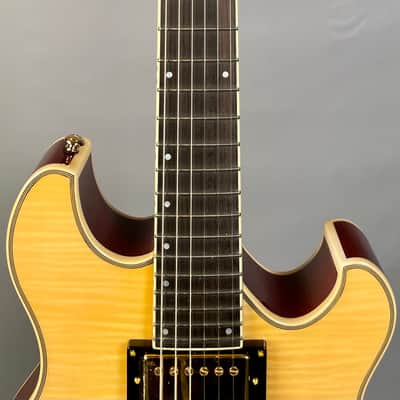 Eastwood Classic 6 TA PH Languedoc Anastasio Style Hollowbody Natural image 10
