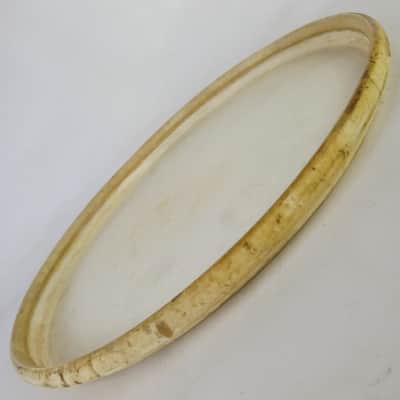 Vintage 13" Calf Skin Tom Drum Head Batter/Resonant Vintage 30s-40s Gretsch USA image 3