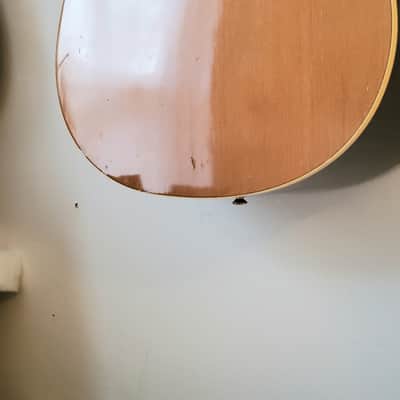 Seagull Godin 20th Anniversary Dreadnought Acoustic Guitar w/ Chainsaw Foam Fort Case image 21