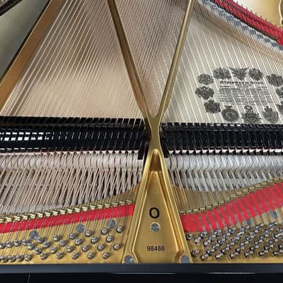Steinway Model O 5'10" Grand Piano 1901 (Restored) - Polished Ebony image 13