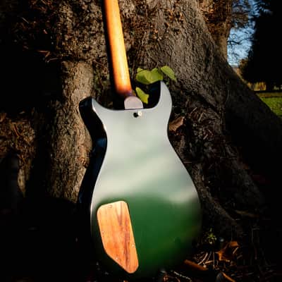 2016 Echopark Arroyo Californian Build - Dean Fertita Model & Spec image 8