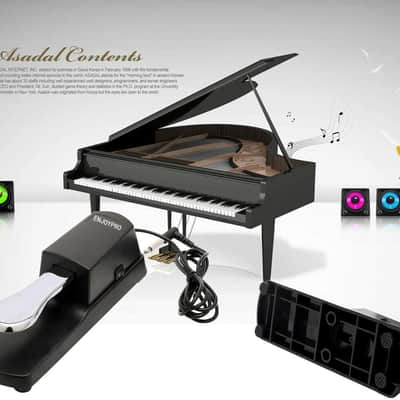 Sustain Pedal for Yamaha Keyboard, Piano Keyboard Pedal with Polarity Switch for Casio, MIDI, Roland Electronic Keyboards and Digital Pianos, 1/4 Inch Jack image 2