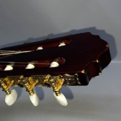 HÖFNER Hofner Sienna Classic HAC304 4/4 classical guitar image 12