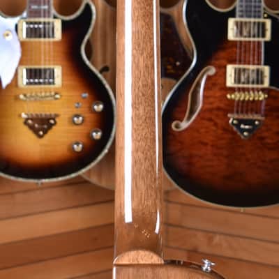 Gibson Les Paul Standard 60s Double Trouble Vintage Honey Burst Gloss image 11